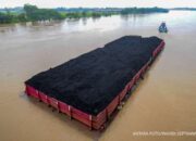 Kejar Target Nol Emisi, Perbankan Berupaya Tak Tambah Kredit di Sektor Batubara