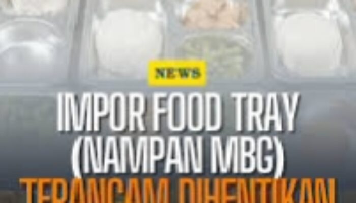 Gelombang Protes Meluas, Warga Ancam Tolak Program MBG Jika Pemerintah Ngotot Impor Nampan